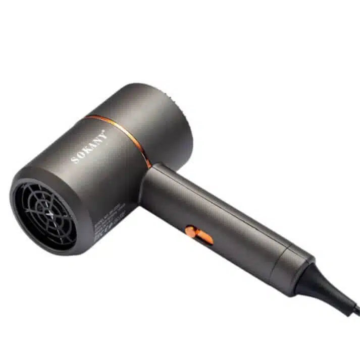 High Power Two Gear Adjustable Electric Hair Dryer