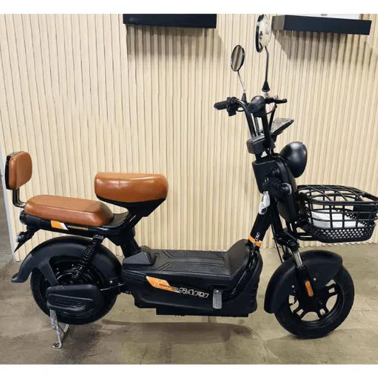 48V Adventure Electric Bike