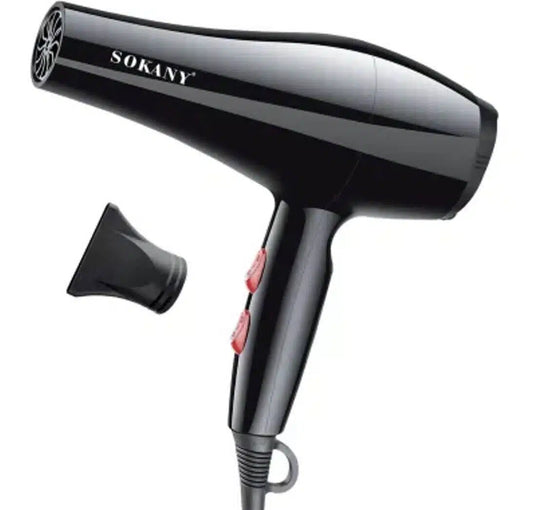 High Power Professional Hair Dryer