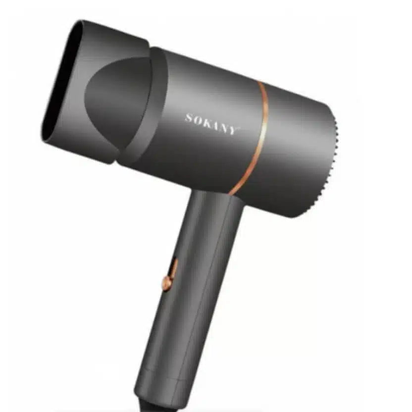 High Power Two Gear Adjustable Electric Hair Dryer